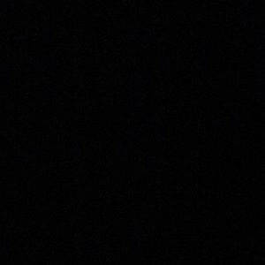 Meet your Posher, Dillon